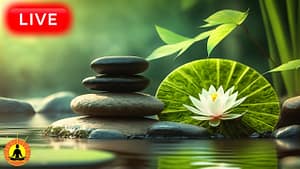 7 healing music meditation music spa music sleep zen study music river
